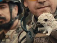 Харківська "Порцелянова війна" залишилася без "Оскара"